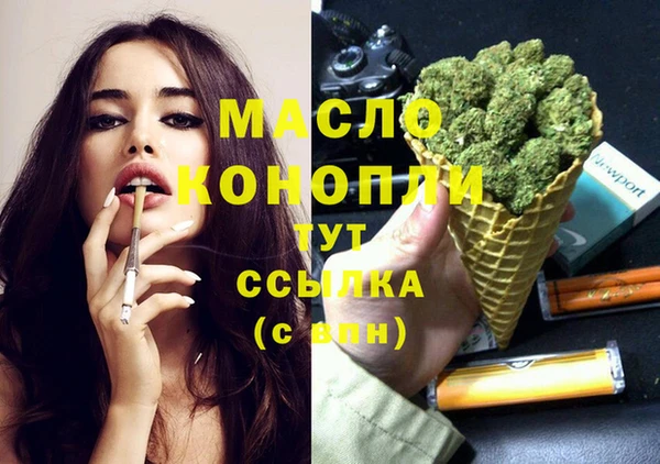 молекула духа Медногорск
