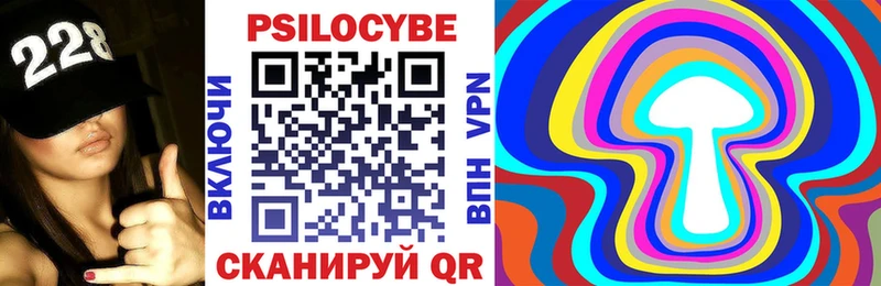 Галлюциногенные грибы Psilocybe Макарьев